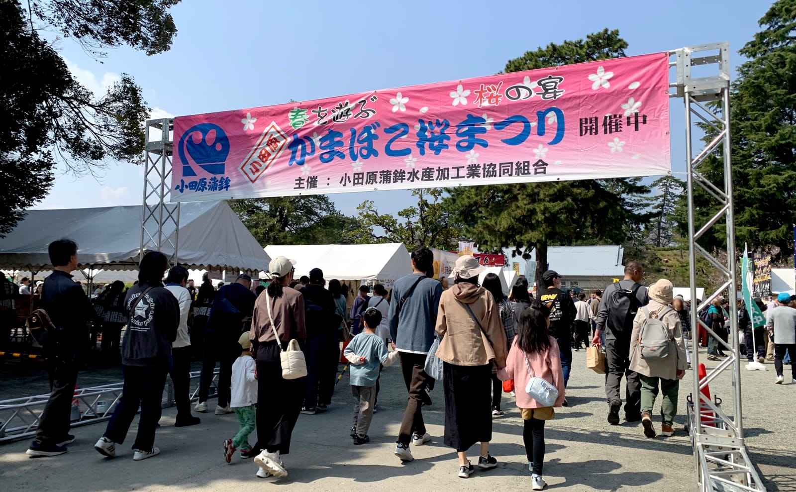 第30回小田原かまぼこ桜まつり 会場の様子